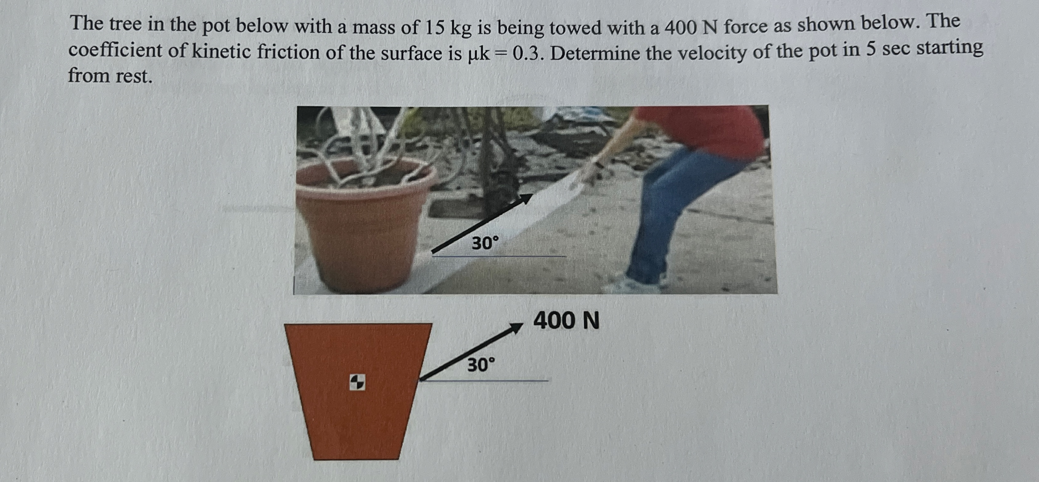 The tree in the pot below with a mass of 1 5 kg