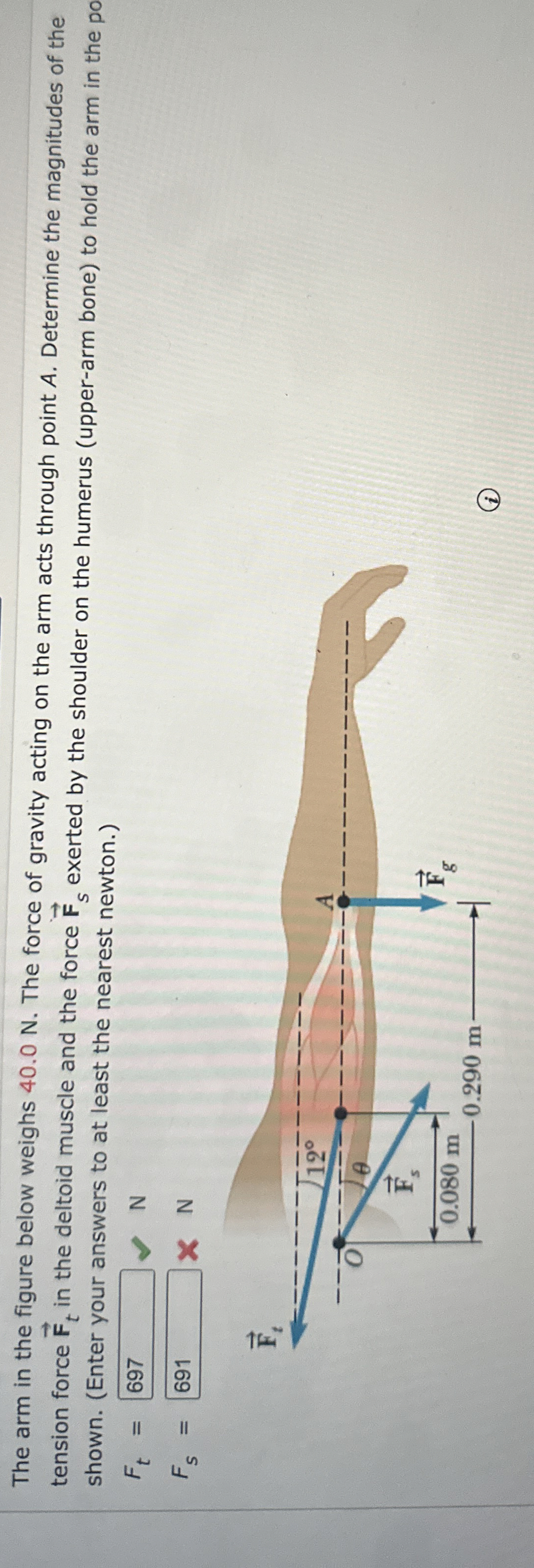 The arm in the figure below weighs 4 0 . 0 N .