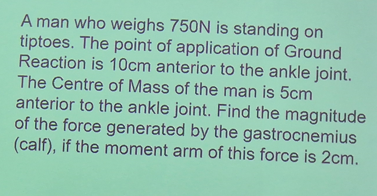 A man who weighs 7 5 0 N is standing on tiptoes.