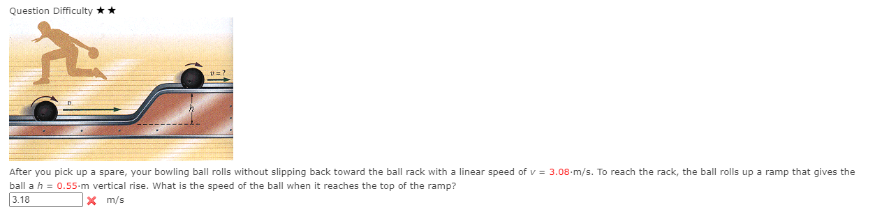 A 8 0 kg bungee jumper jumps from a bridge. She