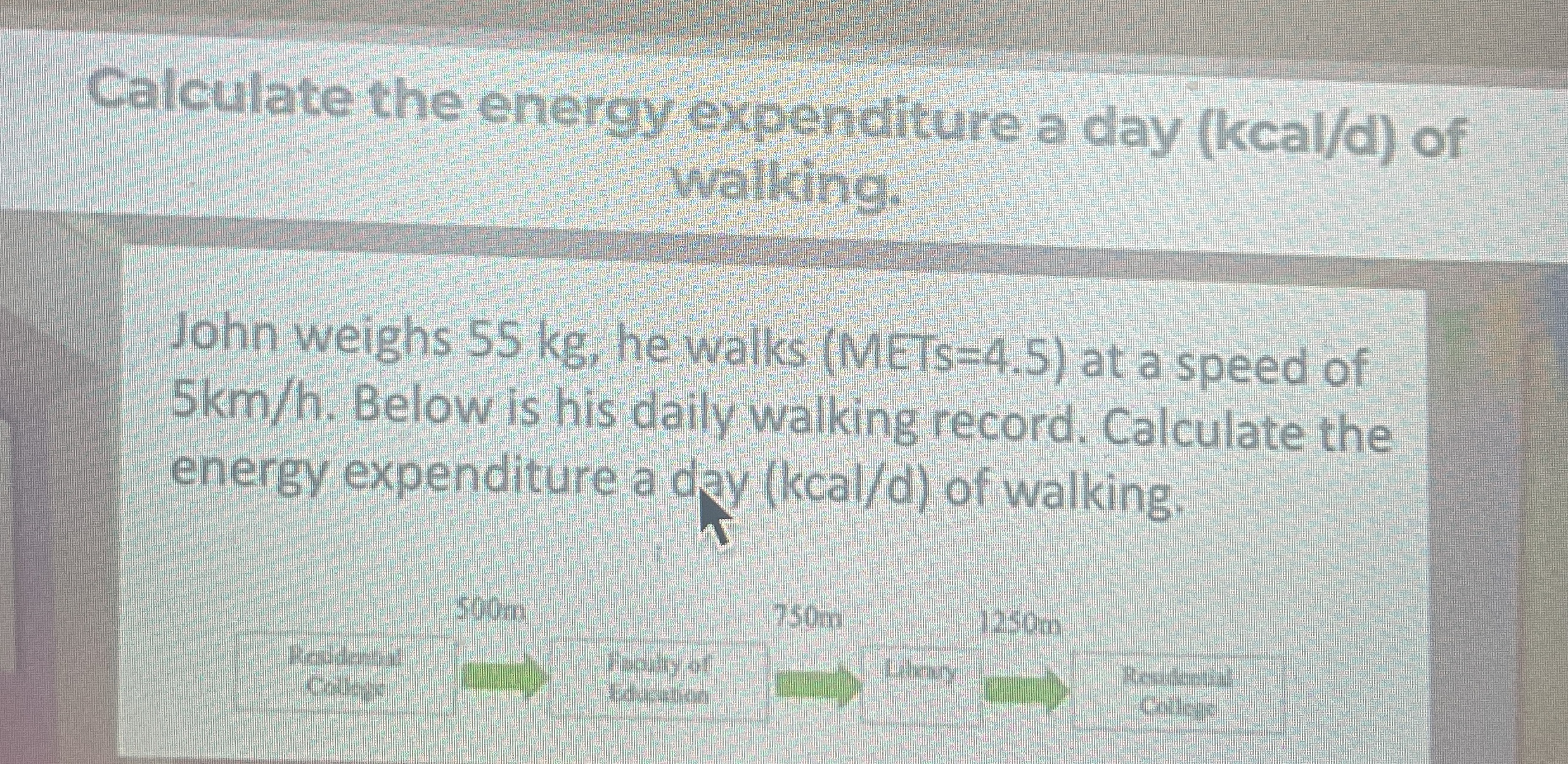 Calculate the energy expenditure a day ( k c a l
