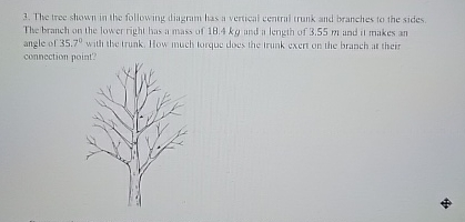 The tree shown in the following diagram las a