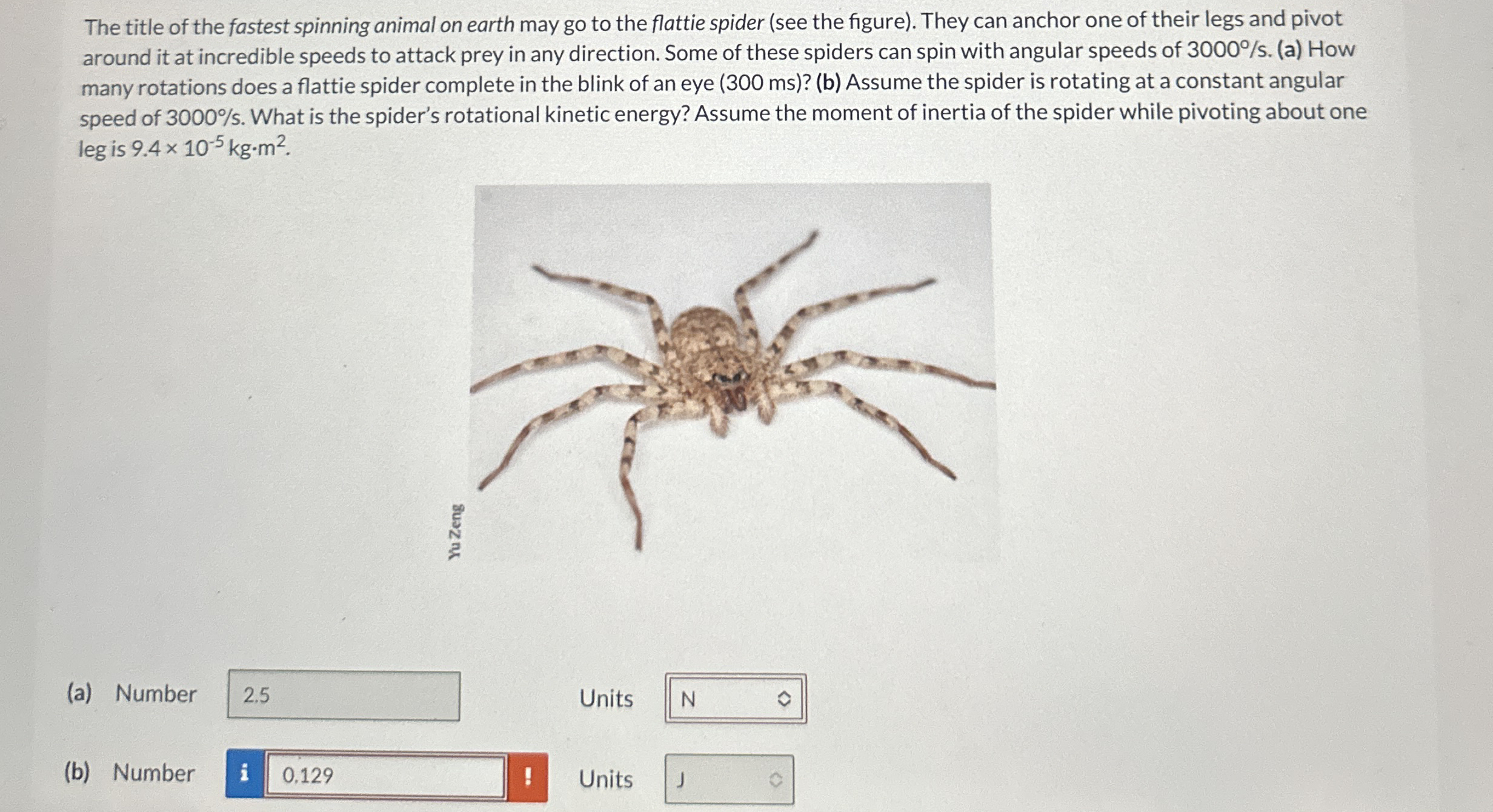 The title of the fastest spinning animal on earth