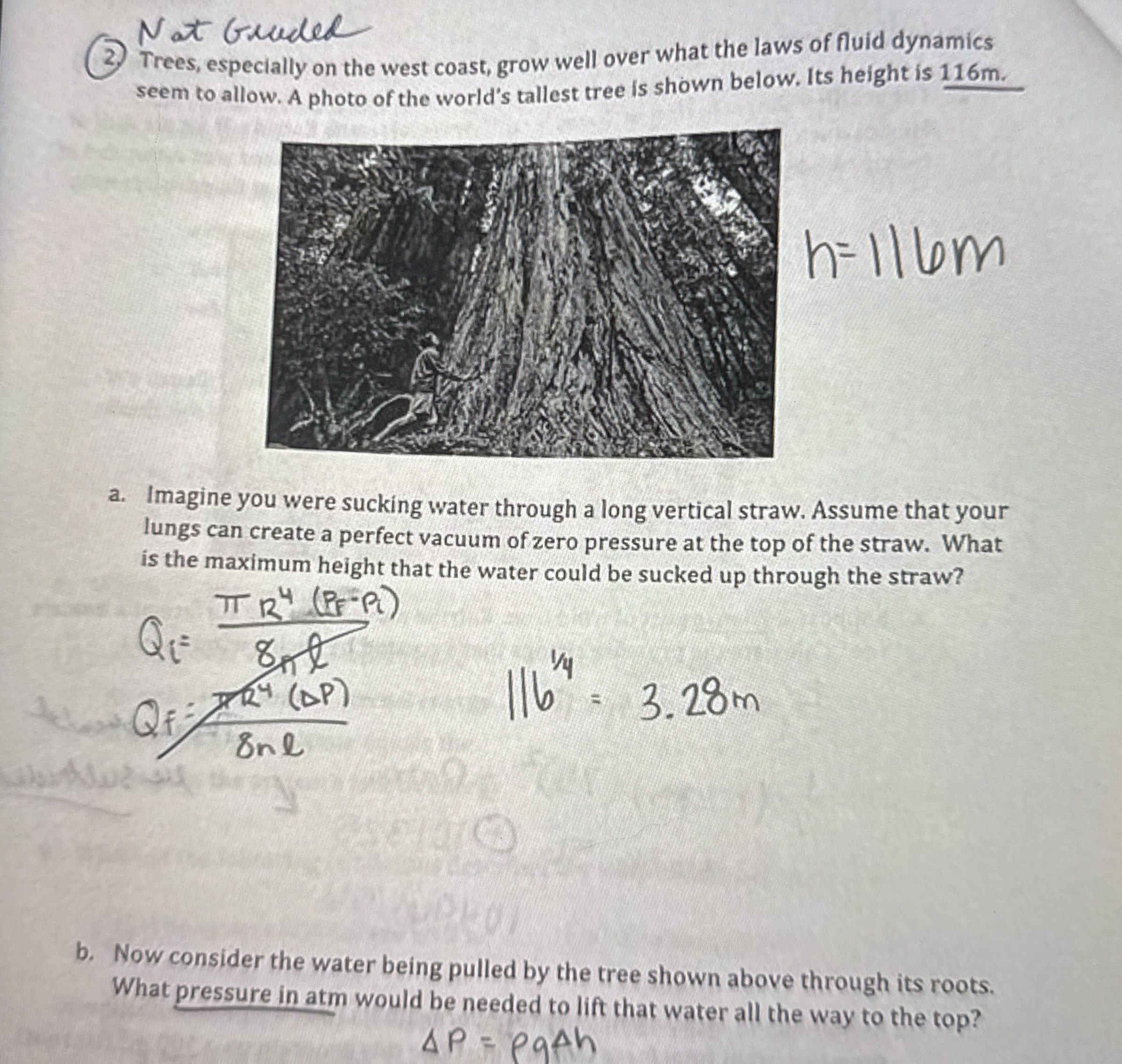 ( 2 ) Trees, especially on the west coast, grow