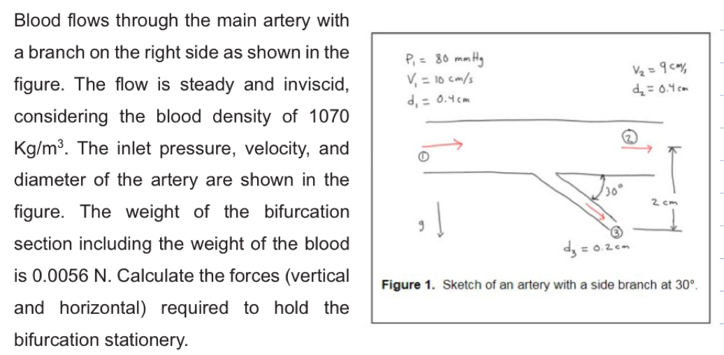 Blood flows through the main artery with a branch