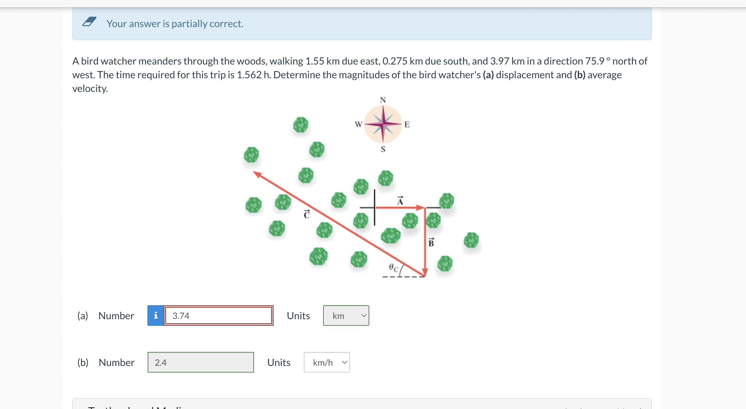 A bird watcher meanders through the woods,