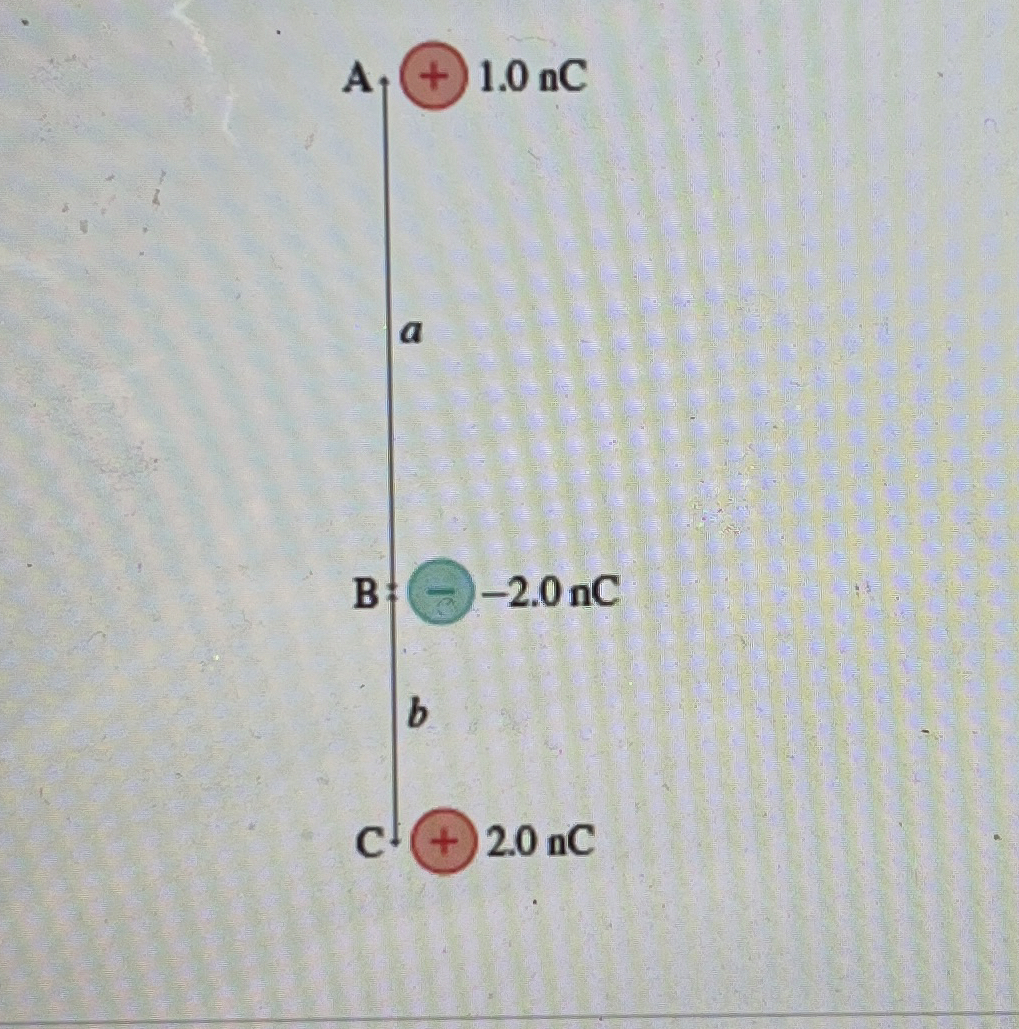 What is the magnitude of the net electric force