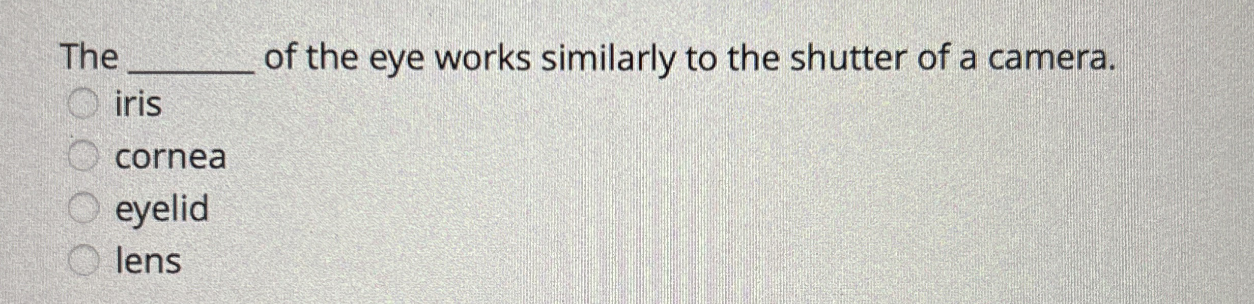 The q , of the eye works similarly to the shutter