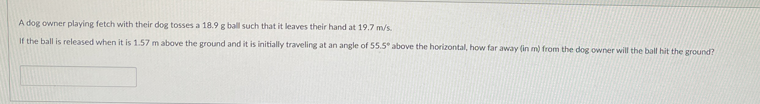 A dog owner playing fetch with their dog tosses a