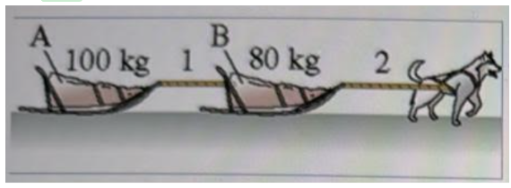 The sled dog in figure drags sled A and Sled B