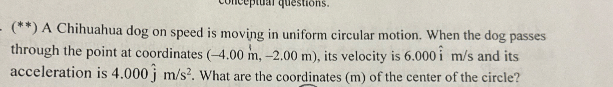 ( * * * * ) A Chihuahua dog on speed is moving in