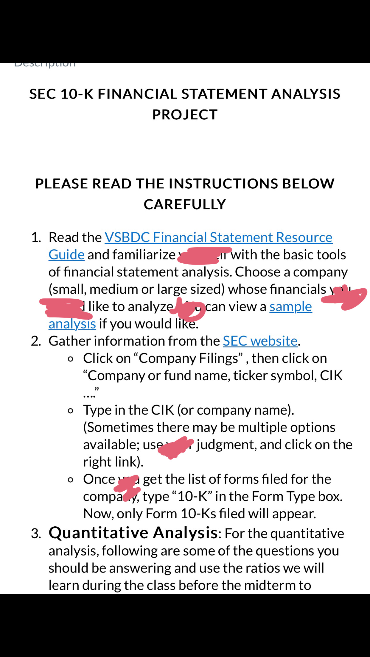 SEC 10-K FINANCIAL STATEMENT ANALYSIS PROJECT