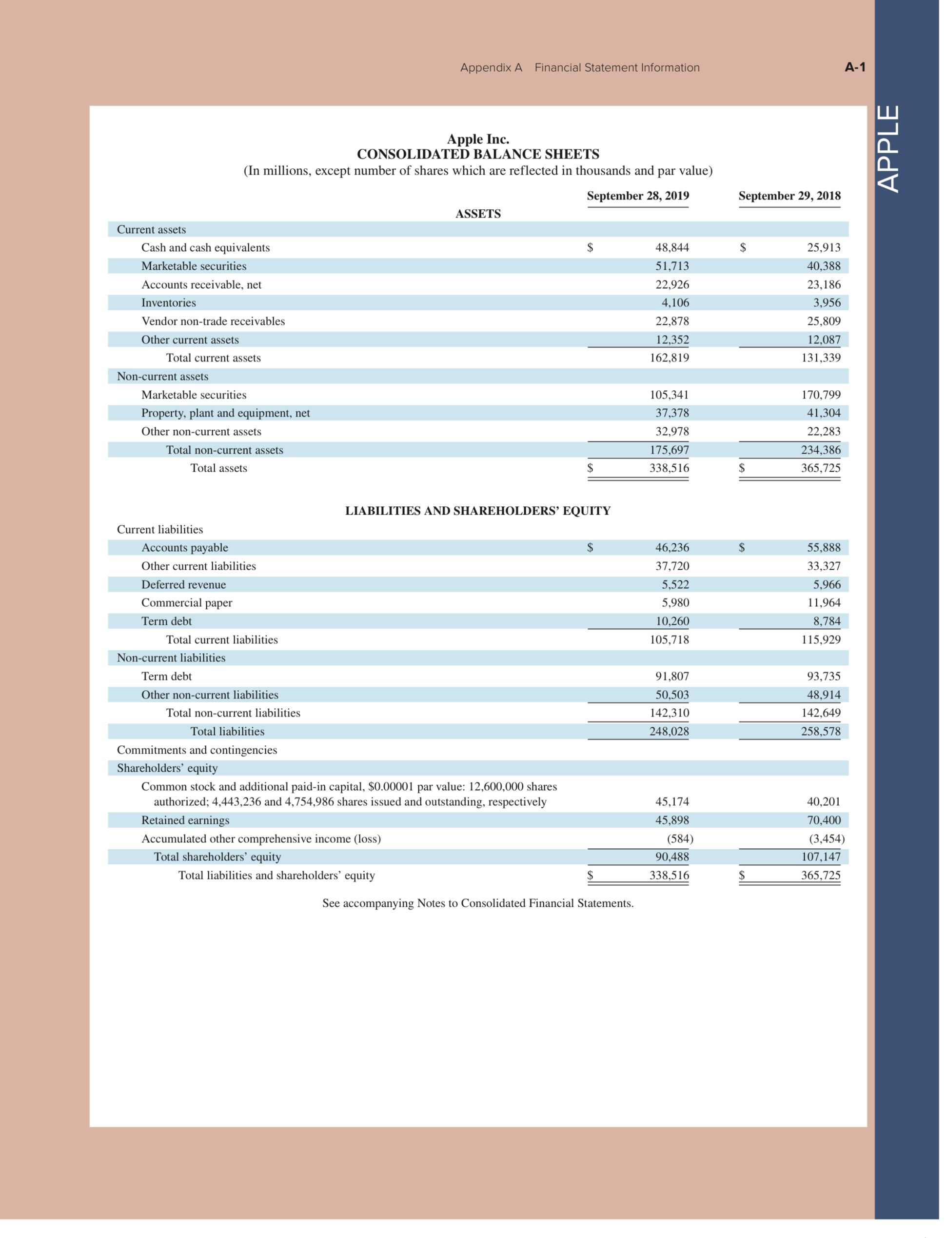 Using Apple's financial statement information