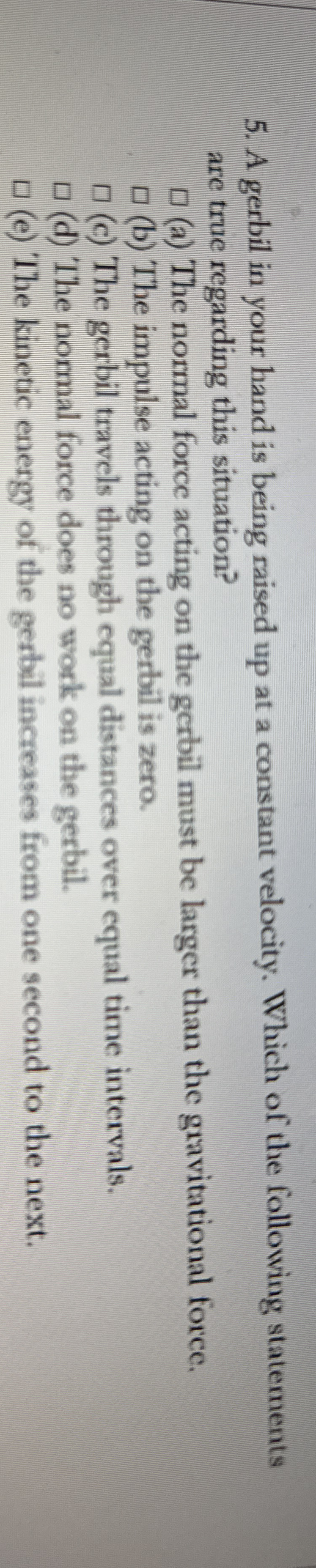 A gerbil in your hand is being raised up at a