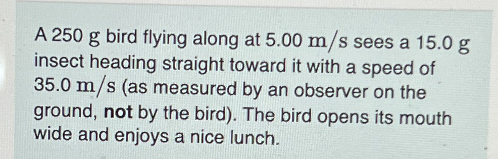 A 2 5 0 g bird flying along at 5 . 0 0 m s sees a