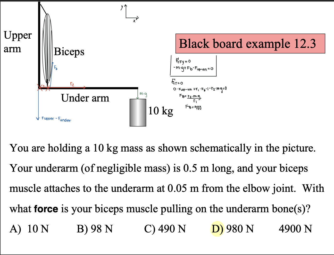 You are holding a 1 0 kg mass as shown