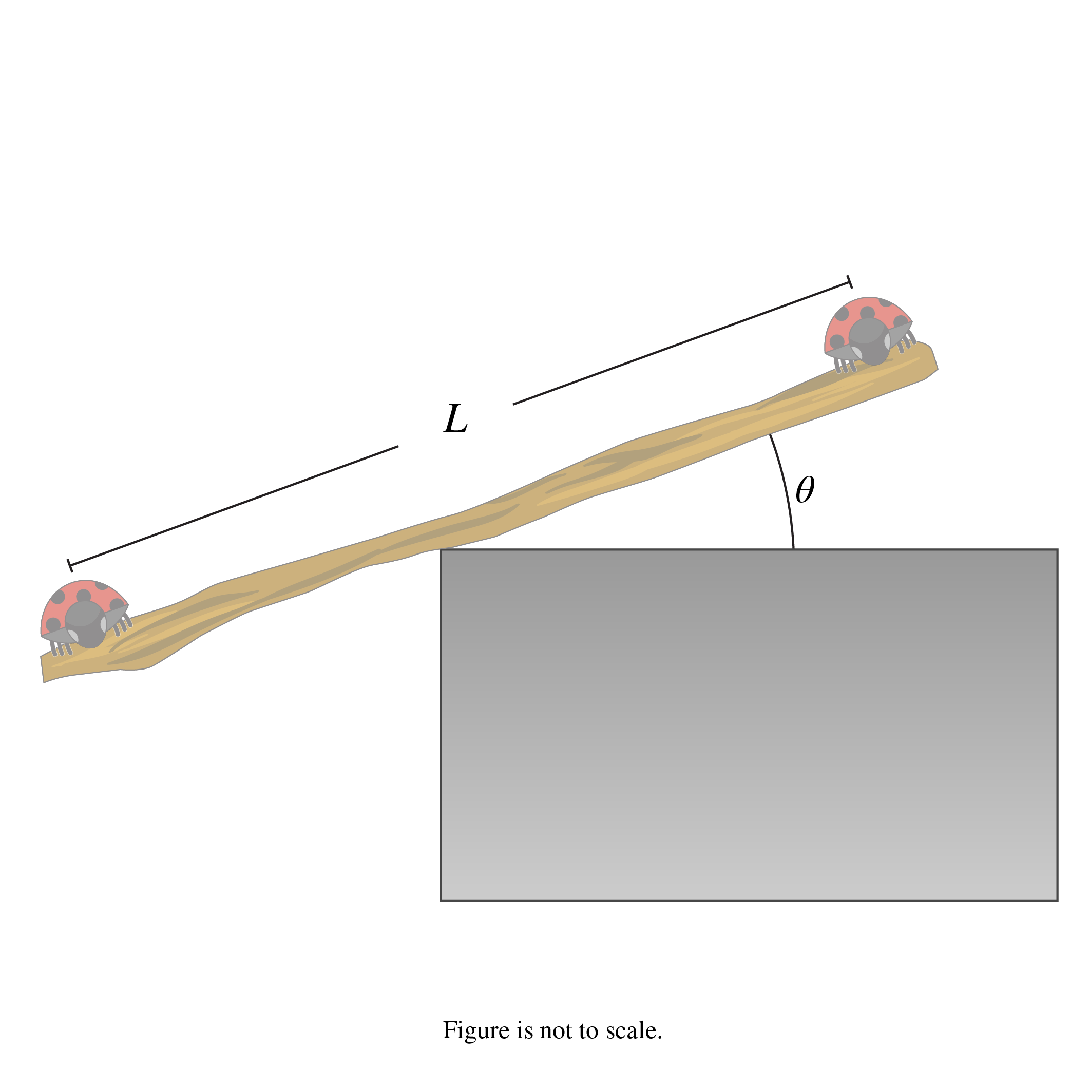 A stick is resting on a concrete step with of its