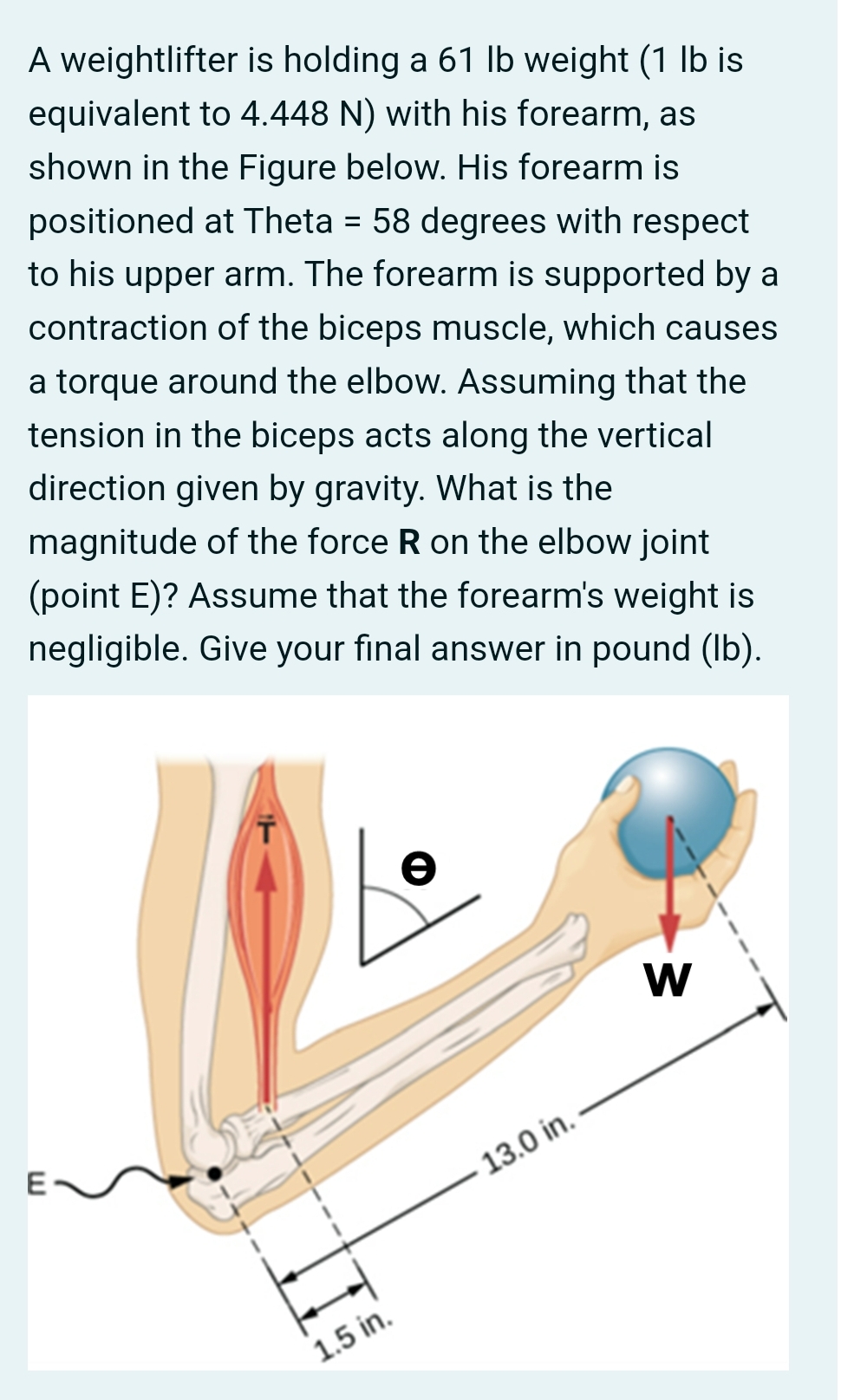 A weightlifter is holding a 6 1 lb weight ( 1 lb