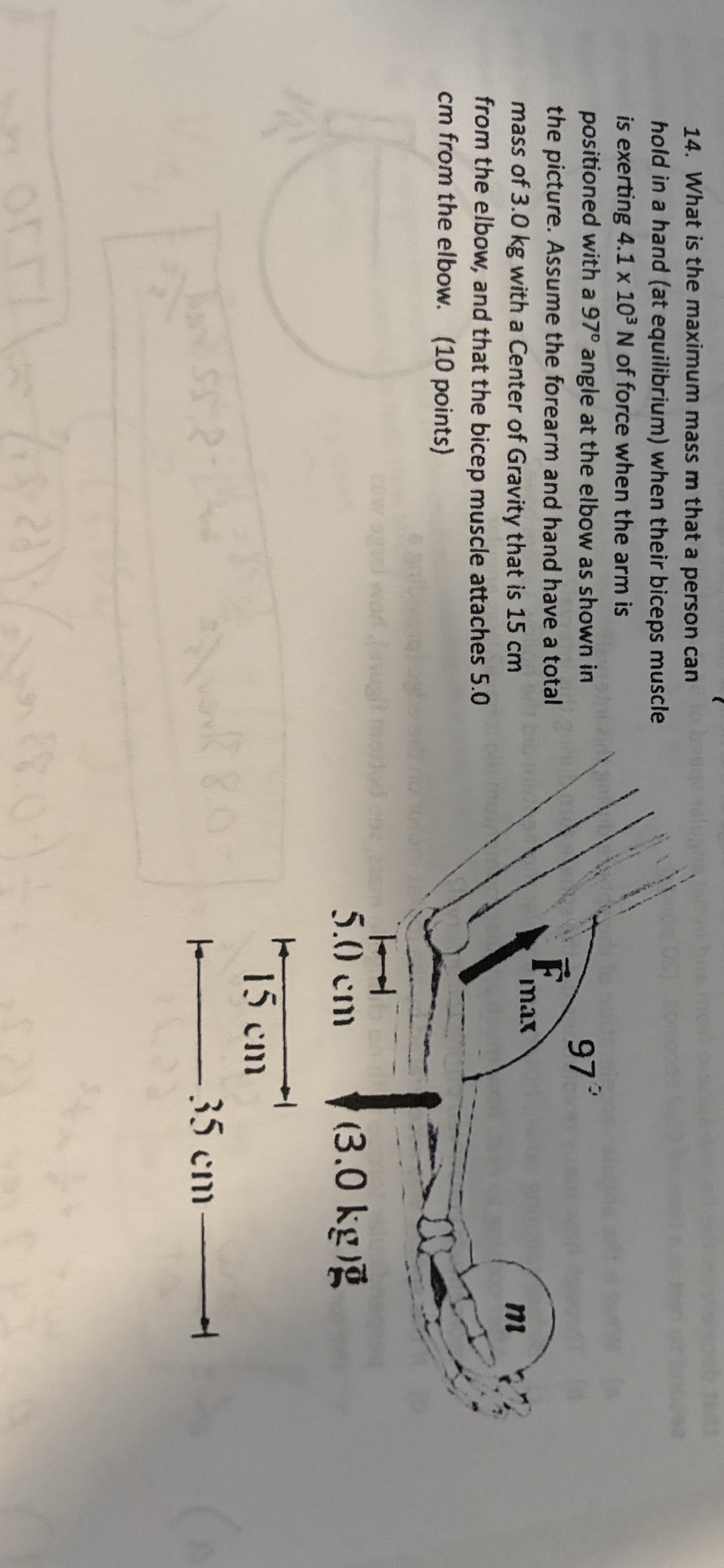 What is the maximum mass m that a person can hold