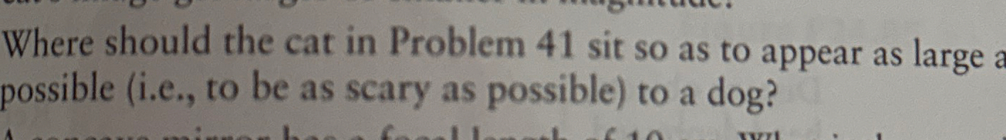 Where should the cat in Problem 4 1 sit so as to