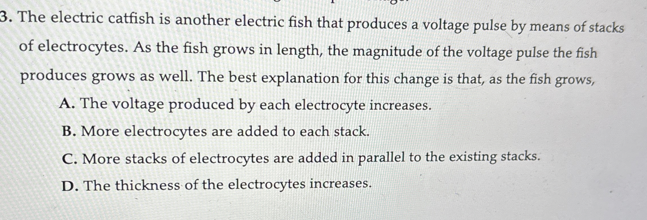 The electric catfish is another electric fish