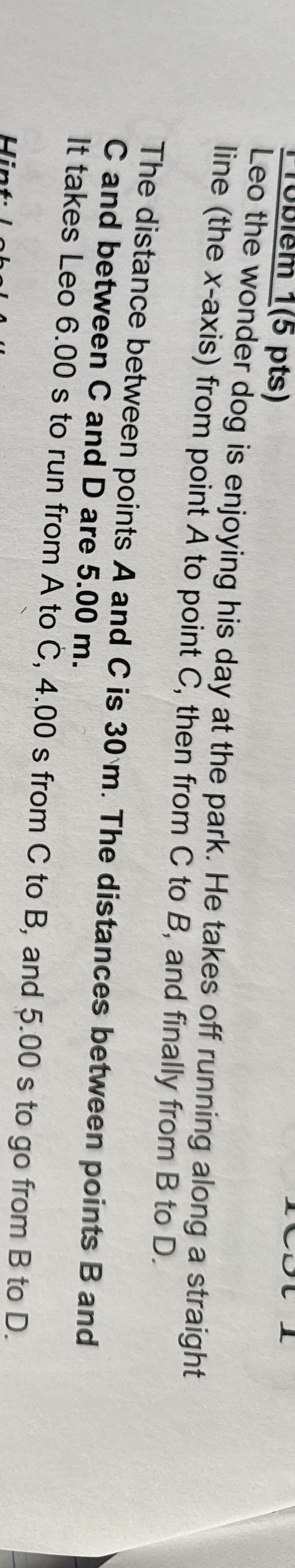 Leo the wonder dog is enjoying his day at the