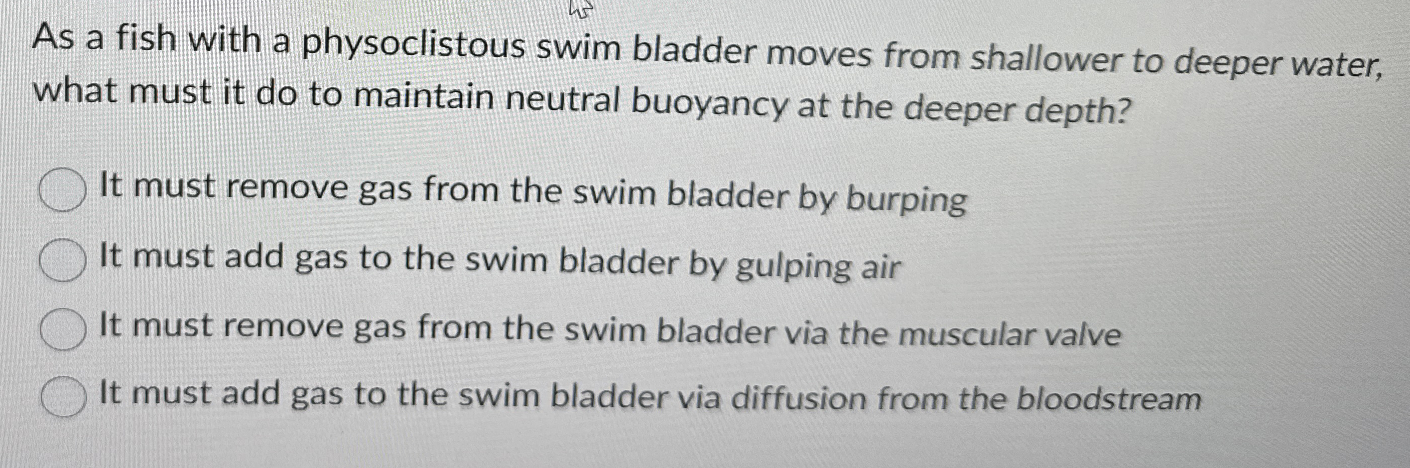 As a fish with a physoclistous swim bladder moves