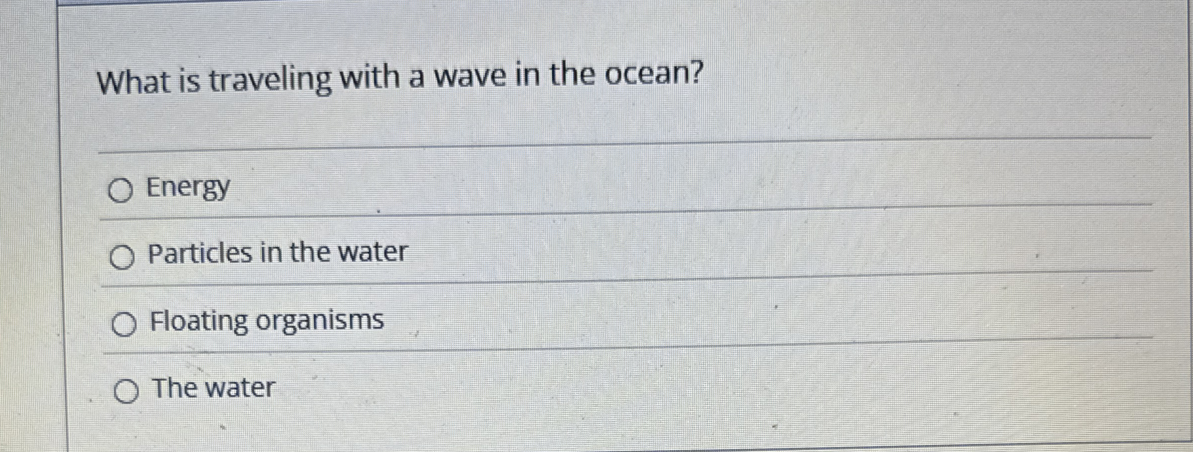 What is traveling with a wave in the ocean?