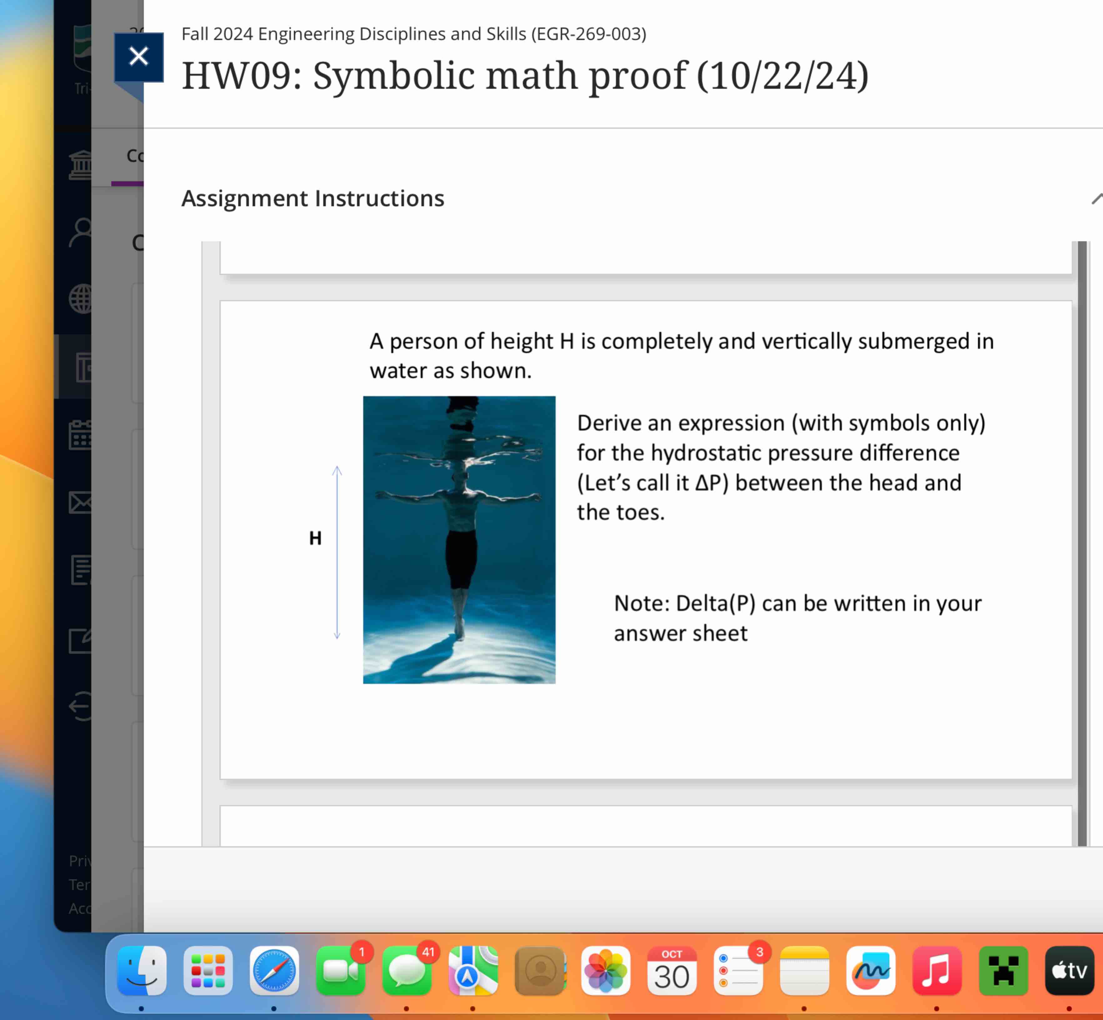 A person of height H is completely and vertically