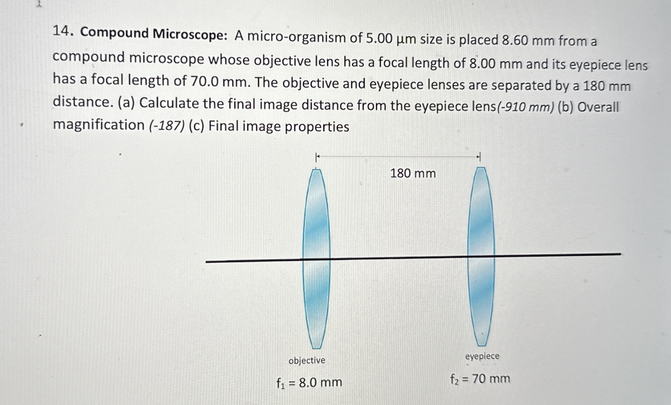 Compound Microscope: A micro - organism of 5 . 0