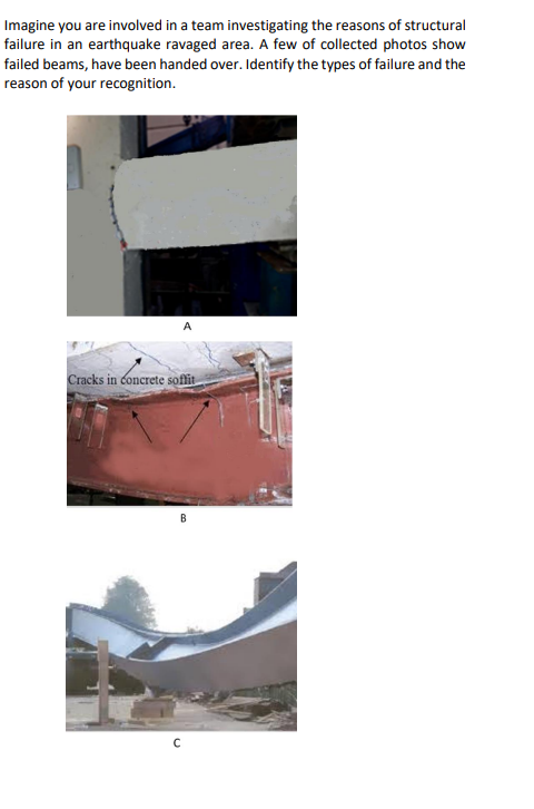 Imagine you are involved in a team investigating