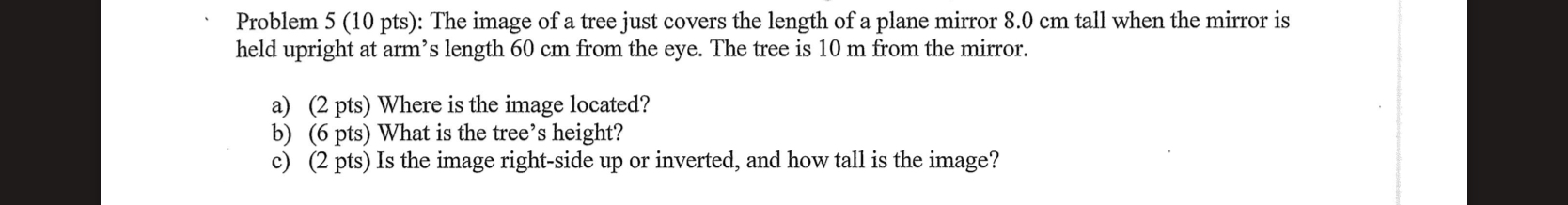 Problem 5 ( 1 0 pts ) : The image of a tree just
