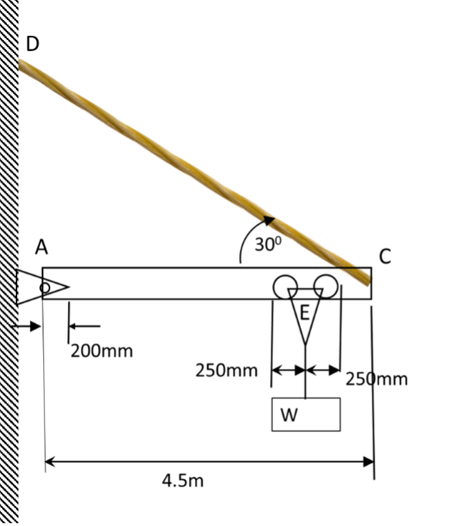 SOLVE BY HAND DO NOT USE CHAT GPT: Make sure