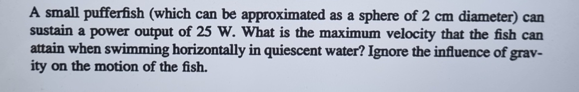 A small pufferfish ( which can be approximated as