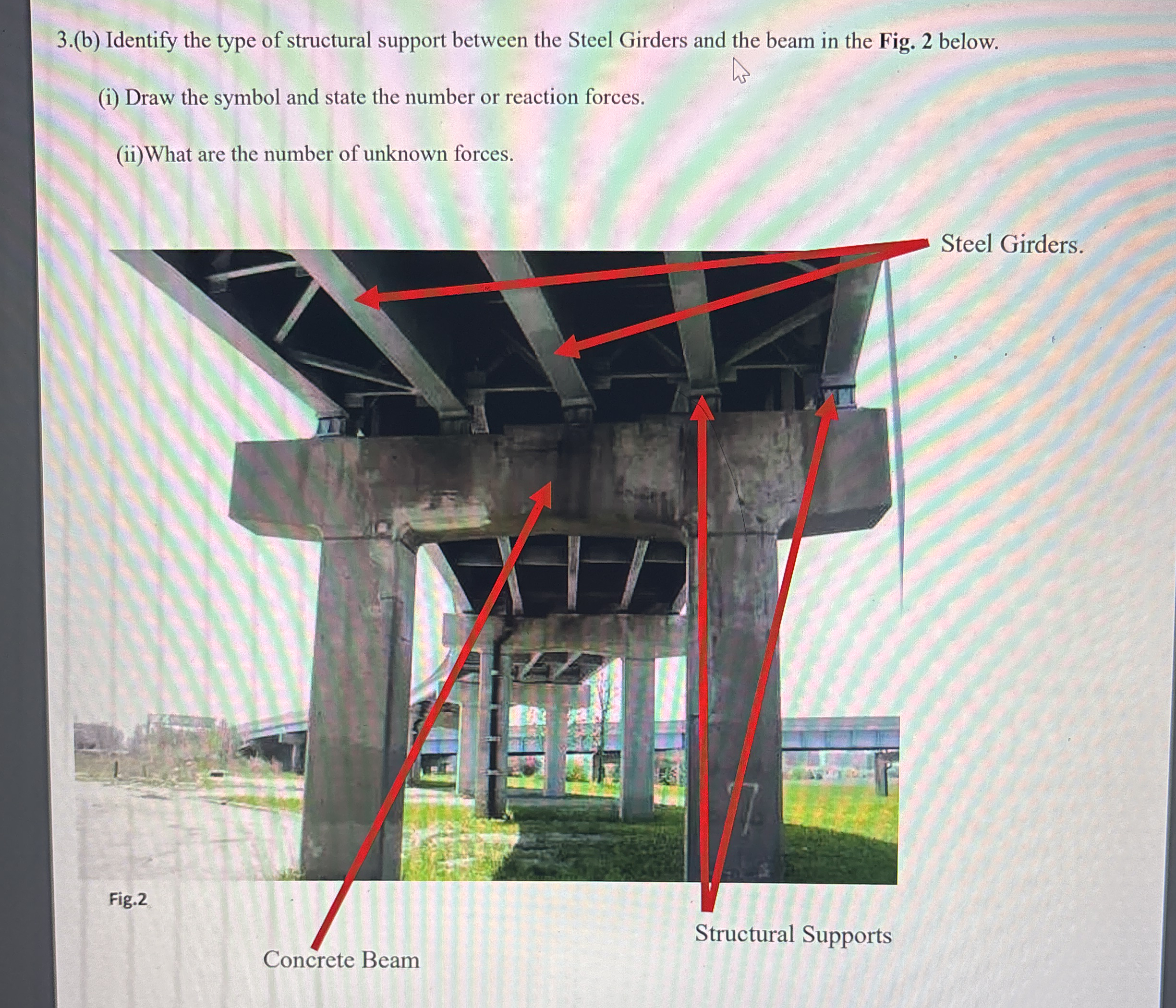 3 . ( b ) Identify the type of structural support
