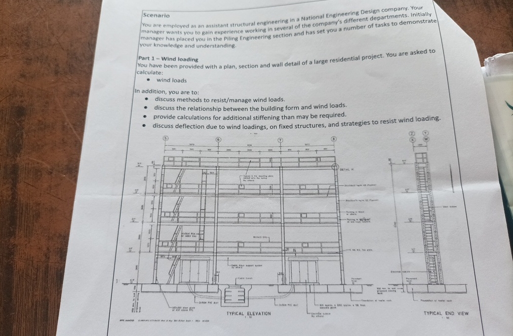 Scenario You are employed as an assistant