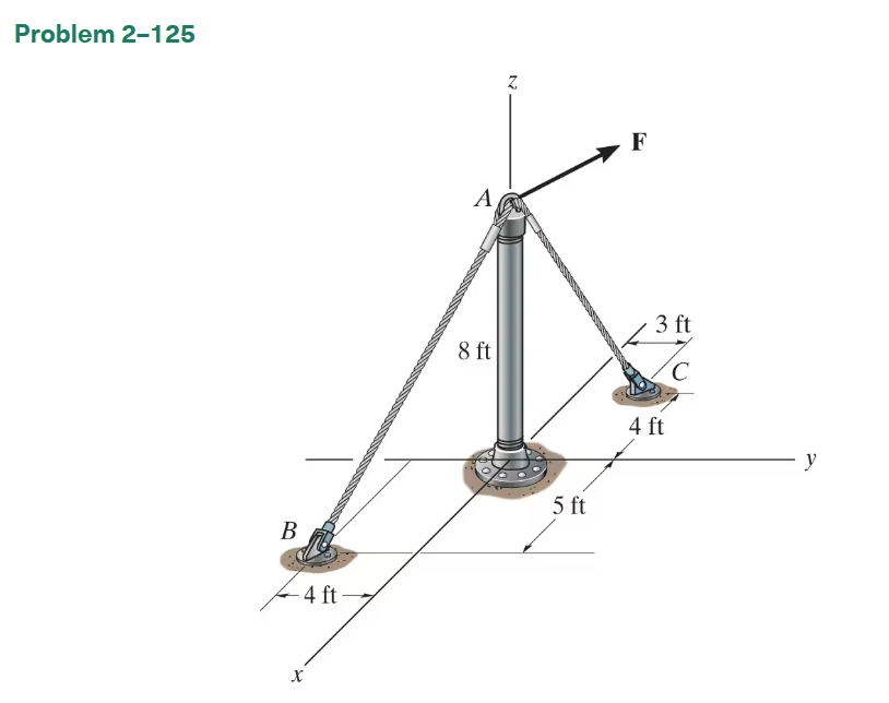 Determine the magnitudes of the projection of the