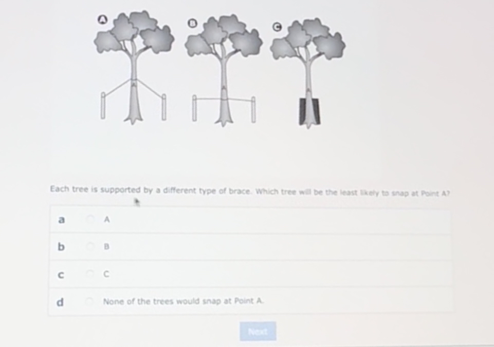 Each tree is supported by a different type of