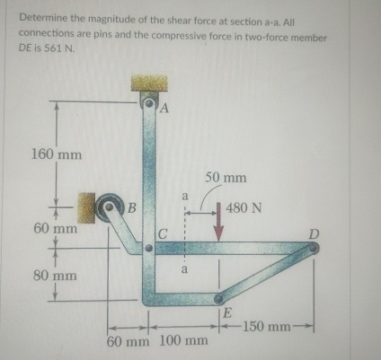 Determine the magnitude of the shear force at