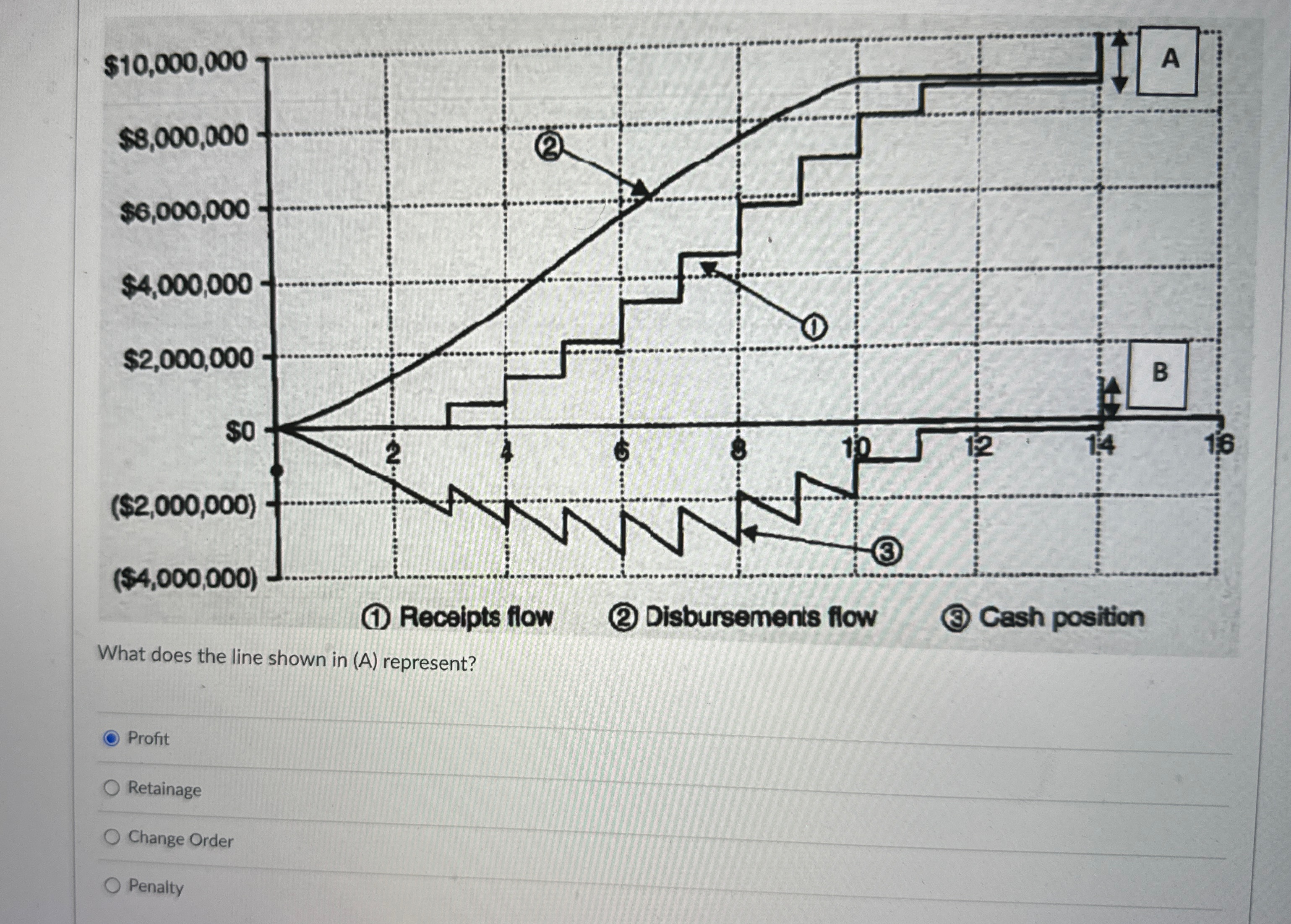 What does the line shown in ( A ) represent?
