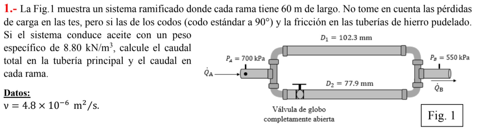 La Fig . 1 muestra un sistema ramificado donde