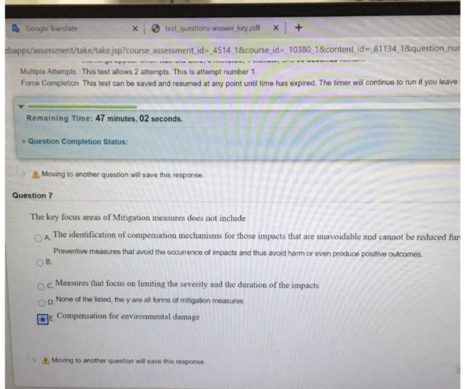 Google Translate test _ questions - answer _