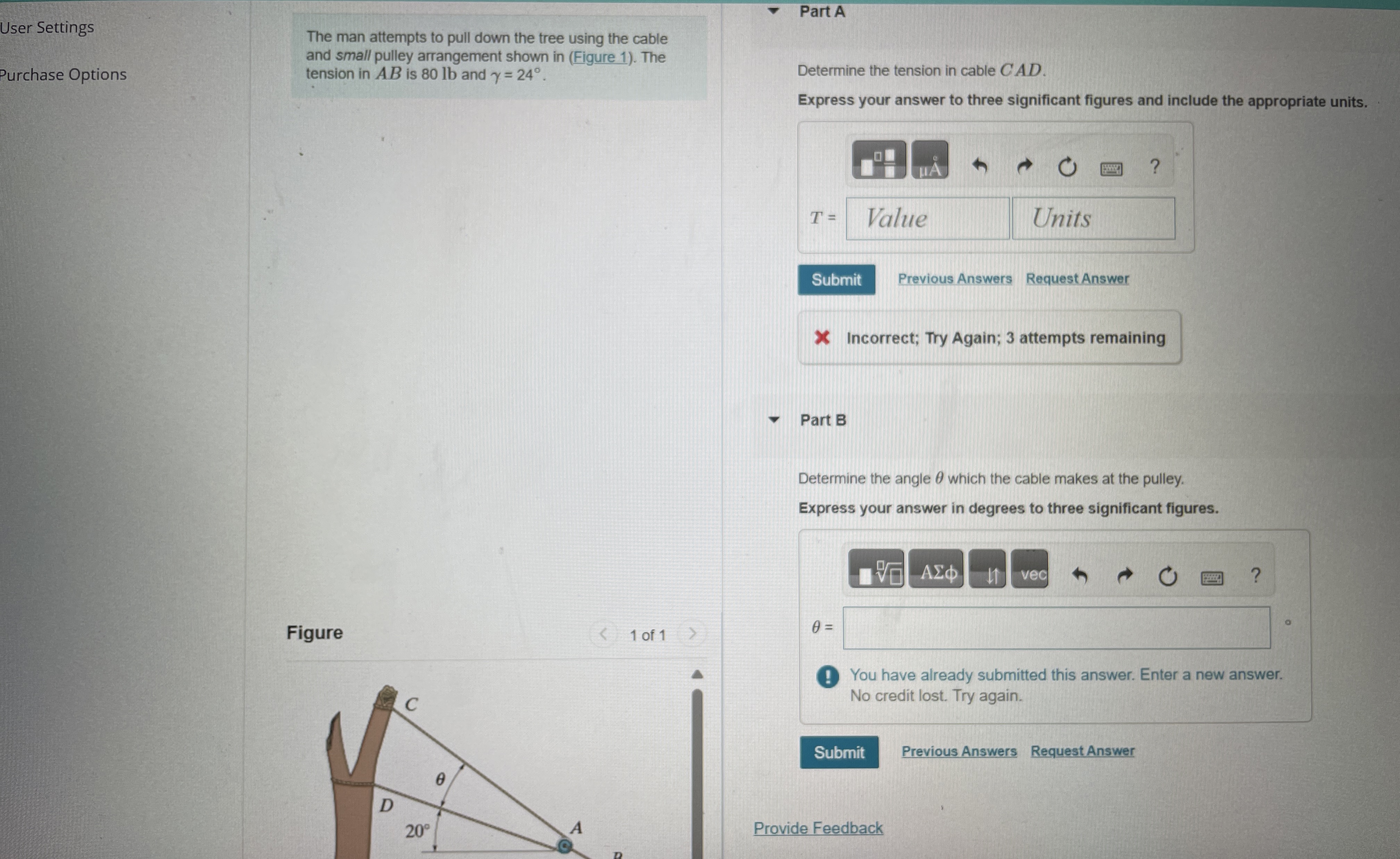 User Settings urchase Options The man attempts to