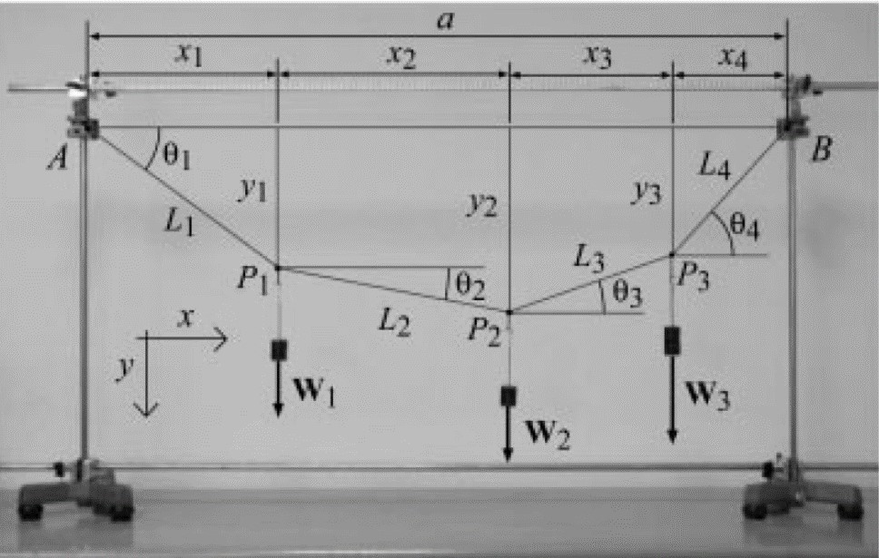 create and use a spreadsheet ( either excel or
