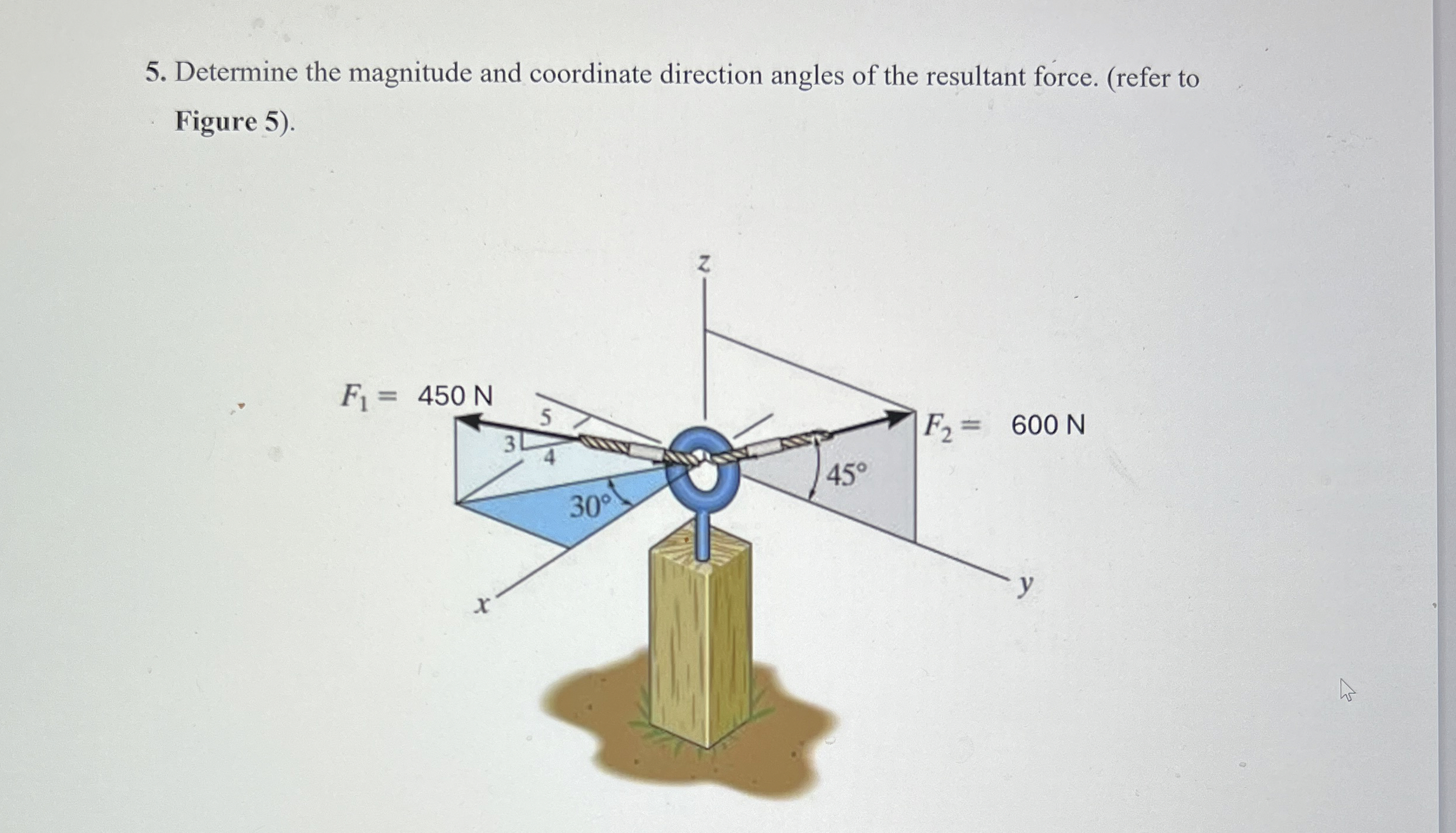 Determine the magnitude and coordinate direction