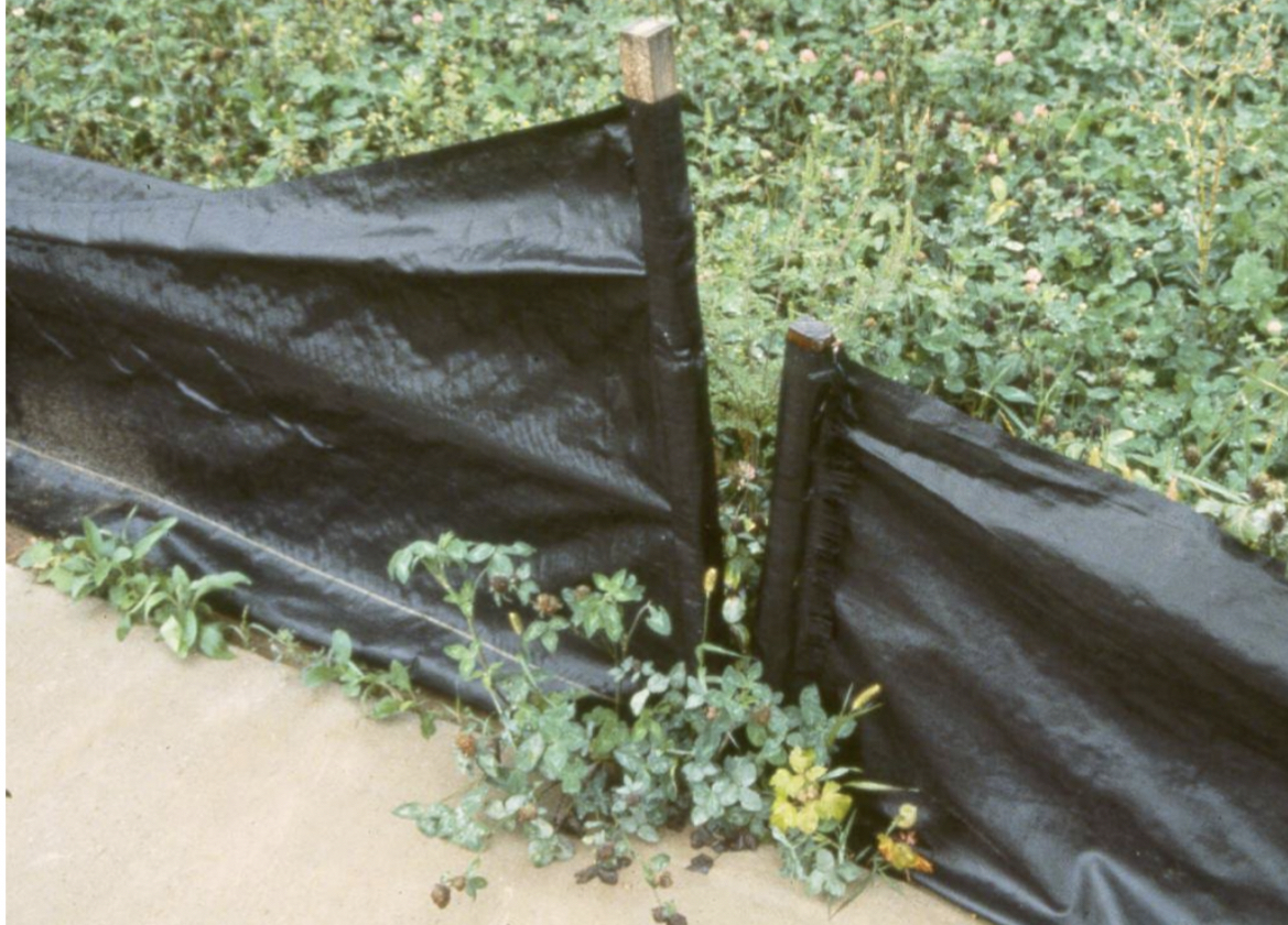 As an erosion control inspector you are on site