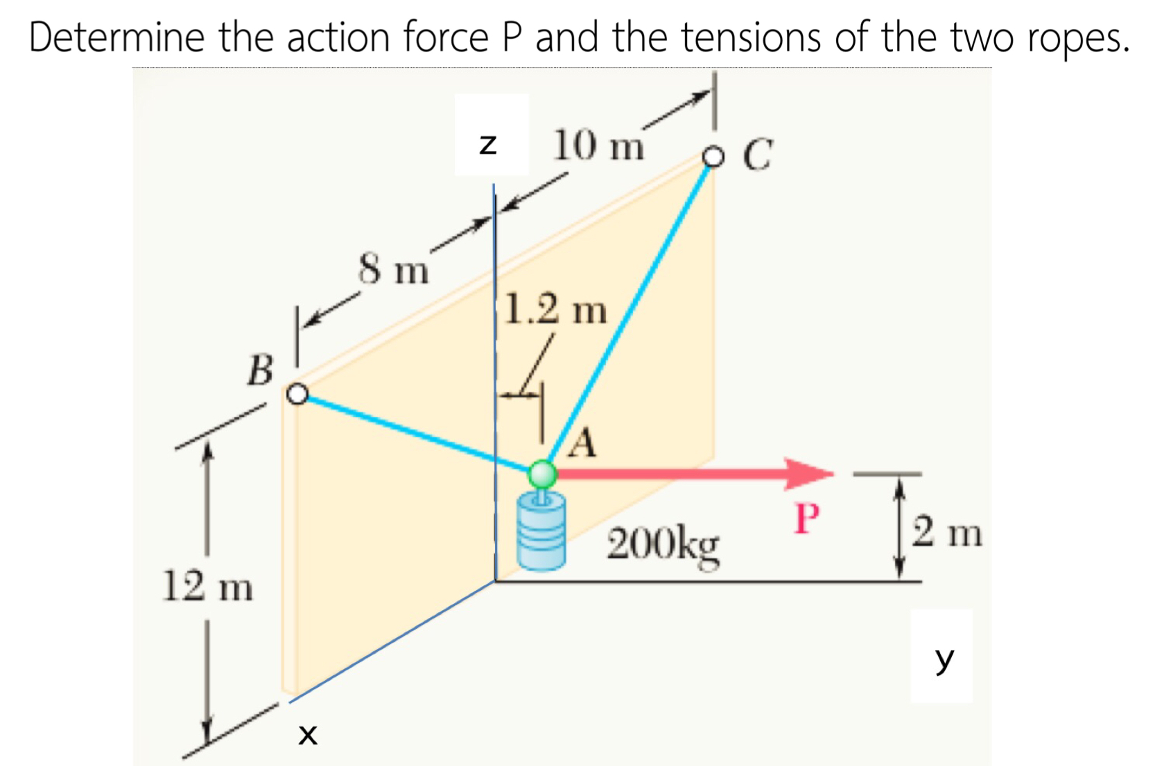 Determine the action force P and the tensions of