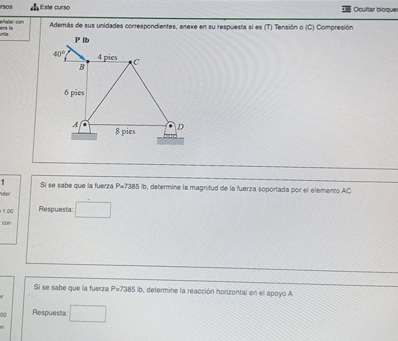 f Este curso Adem s de sus unidades
