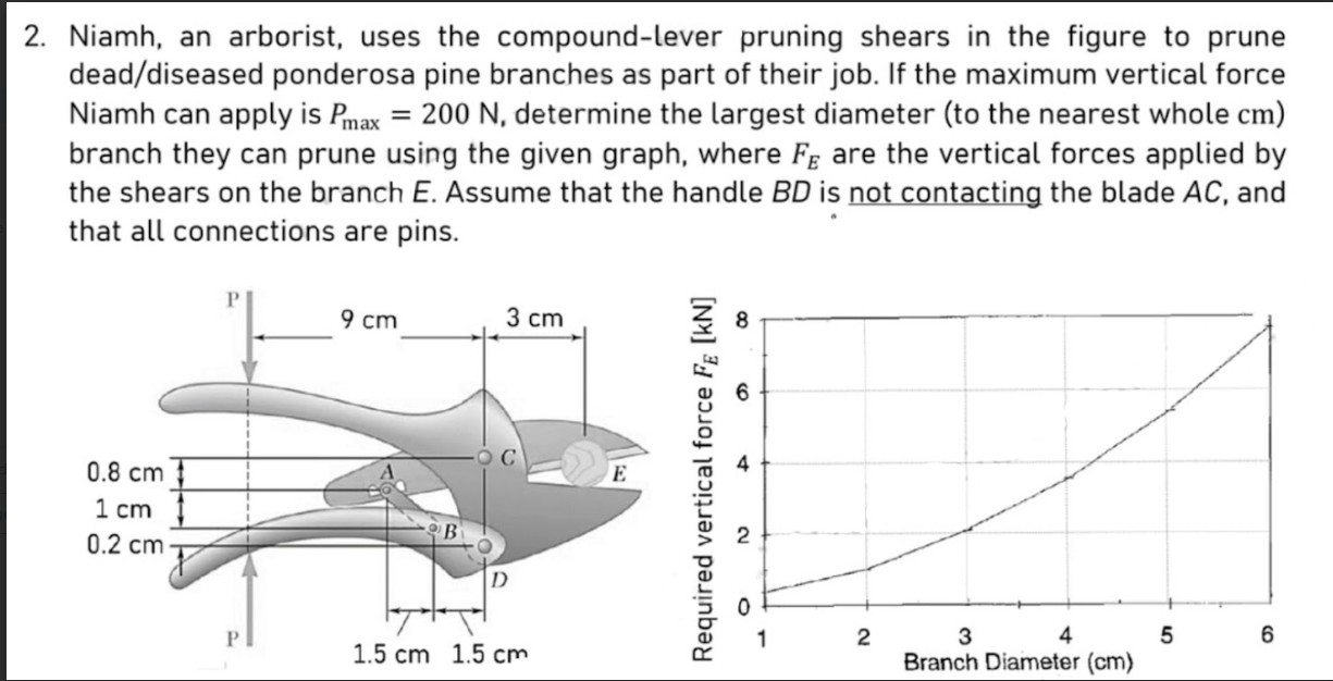 Niamh, an arborist, uses the compound - lever