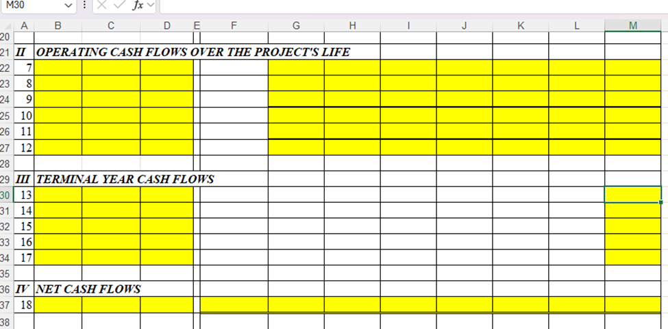 Please fill out the ICAR format Excel Cash Flow